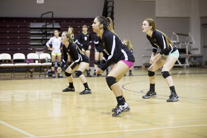 Volleyball senior goodbyes: Kristina Muniz