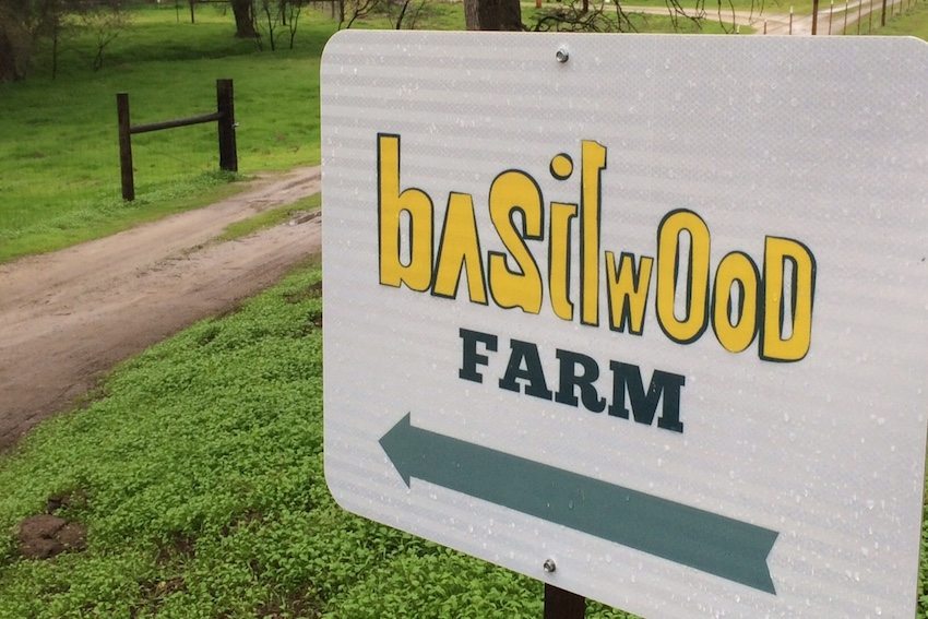 Basilwood farms is a local business that makes a variety of natural products - primarily out of goat milk.
