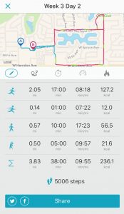 The app maps the run and records the total millage. 