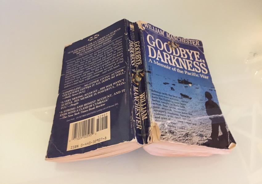 Book review: Goodbye, Darkness