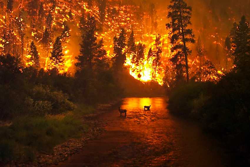 California wildfires devastate communities, impact Sebastopol resident