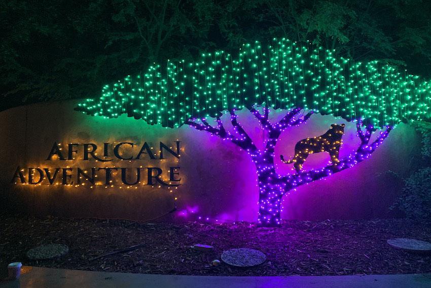 Fresno Chaffee Zoo Lights