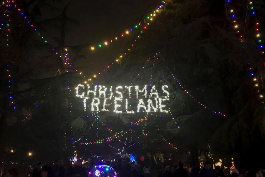 Christmas+Tree+Lane+displays+Christmas+spirit+since+1920