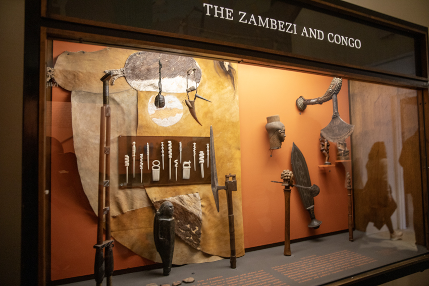 The Zambezi and Congo display at American Museum of Natural History.