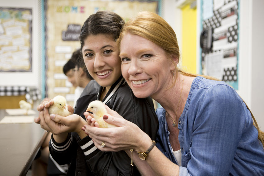 Home Ec students learned about raising baby chicks and even participated in the processing of mature chickens with Mick Fuller. 
