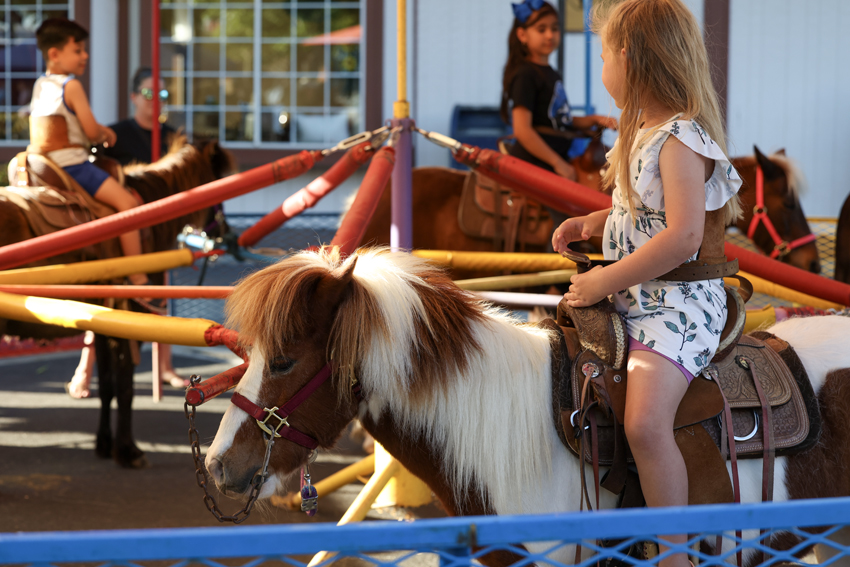 Children were welcome to ride miniature horses or ponies at the market.