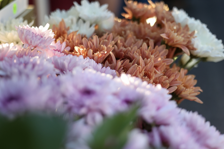 A florist selling her beautiful bouquets came to the farmers market.
