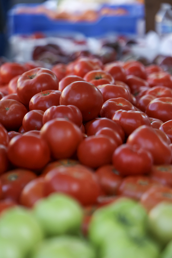Plenty of fresh vegetables are put on sale for visitors to purchase at the farmers market.
