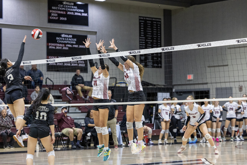 Athletic Header Volleyball